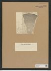 Coscinodiscus monicae (Grun.) Rattr. (de-Toni-Nr.: Genus 202, Species 5060) Zeichnungen Sammlung Grunow Nr. 8812 (NHMW-BOT-W0378422)